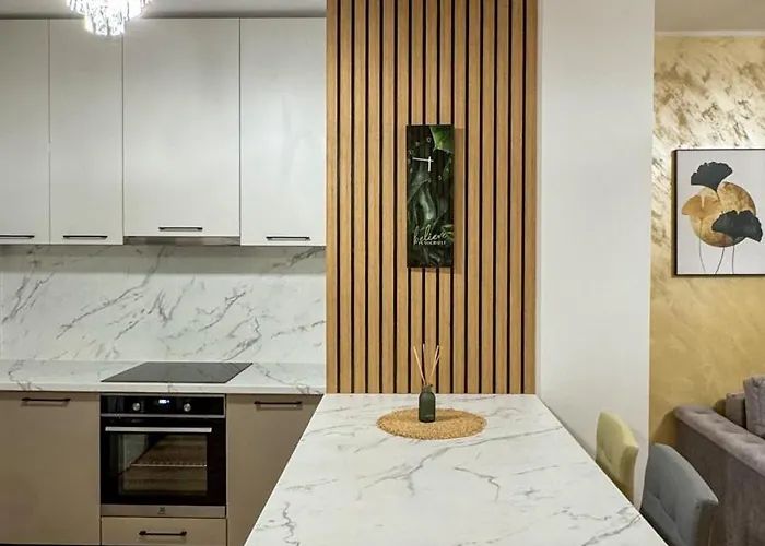 Apartment Luxurios Coresi Mall #brasov